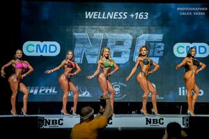 WELLNESS +163